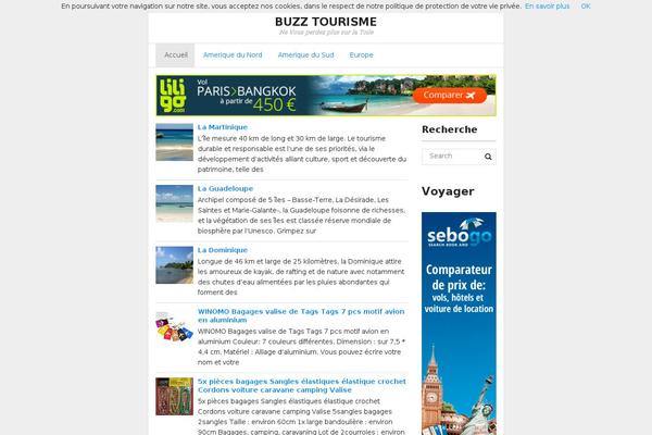 buzz-tourisme.com site used Fasthink-child