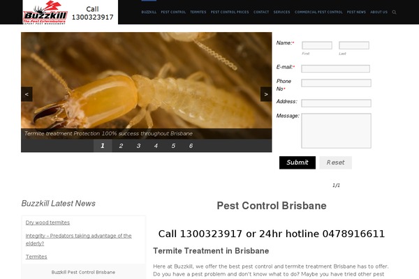 buzzkill.com.au site used Marketer