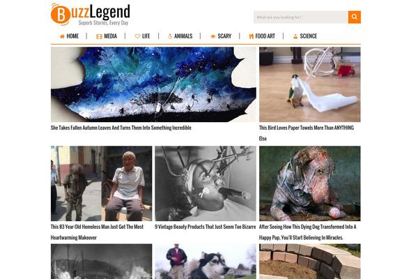 buzzlegend.com site used SociallyViral