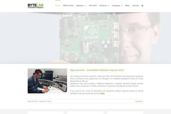 WordPress website example screenshot