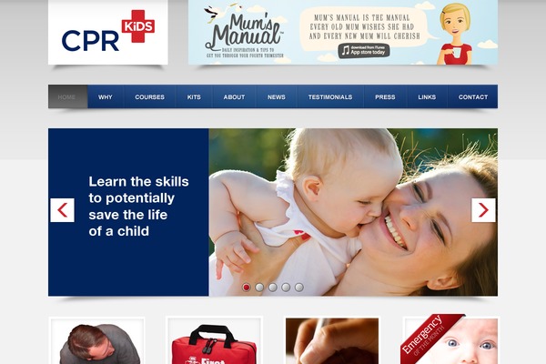 bywavehost.com site used Cpr