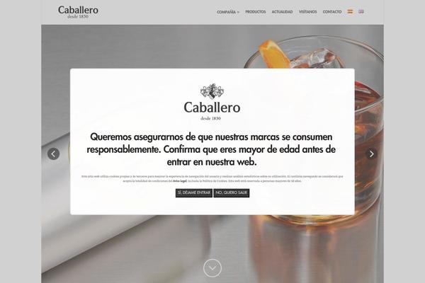 caballero.es site used G-caballero-child