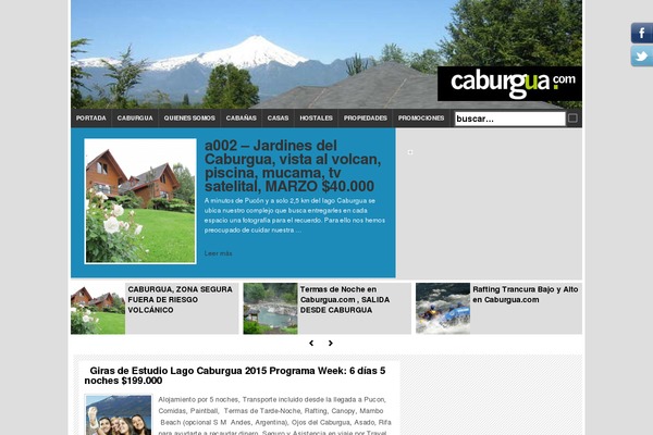 Salient theme site design template sample