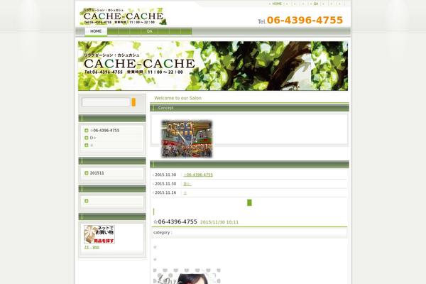 cache-osaka.com site used Biz01