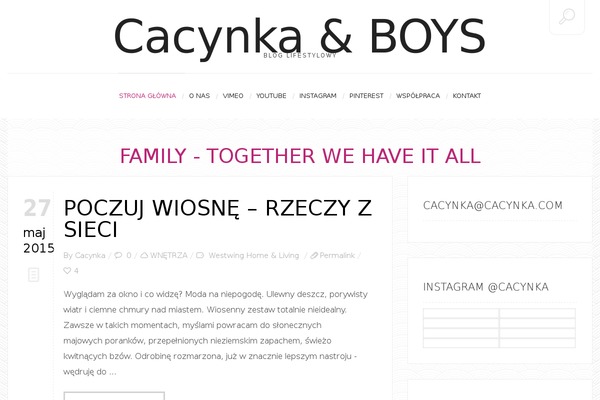 WordPress website example screenshot