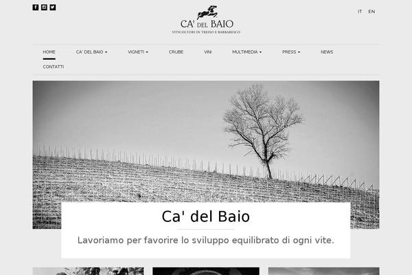 cadelbaio.com site used Cadelbaio2016