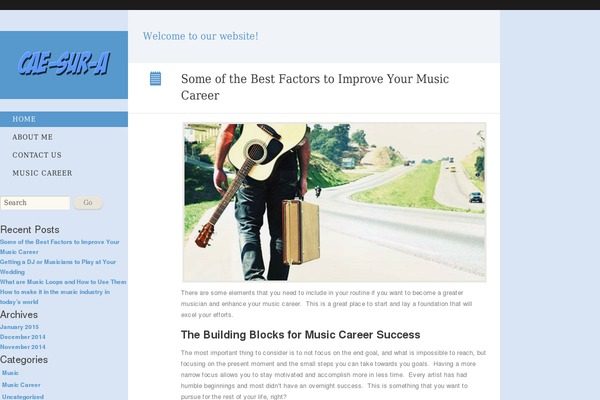 WordPress website example screenshot