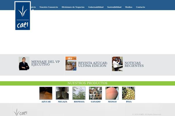 rocco-child theme websites examples
