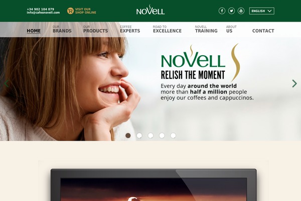 novell theme websites examples