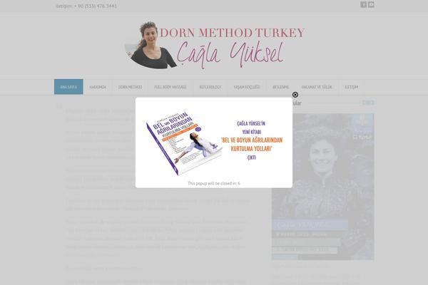RT-Theme 18 theme site design template sample