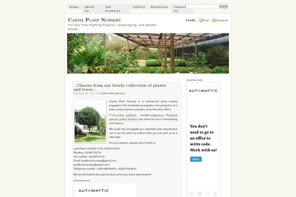 WordPress website example screenshot