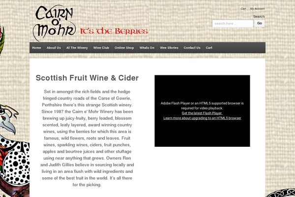 WordPress website example screenshot