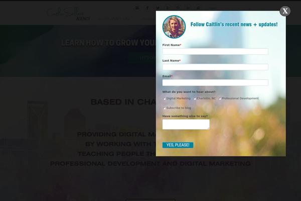caitesellers.com site used Caitlinseller