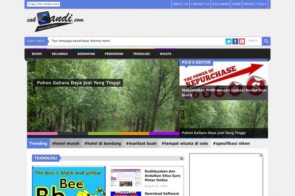 Twenty Nineteen theme site design template sample