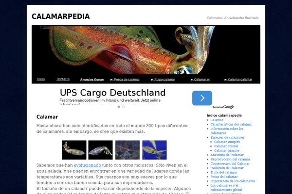 Twenty Ten theme site design template sample