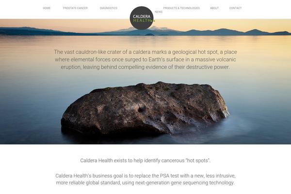 Caldera theme site design template sample