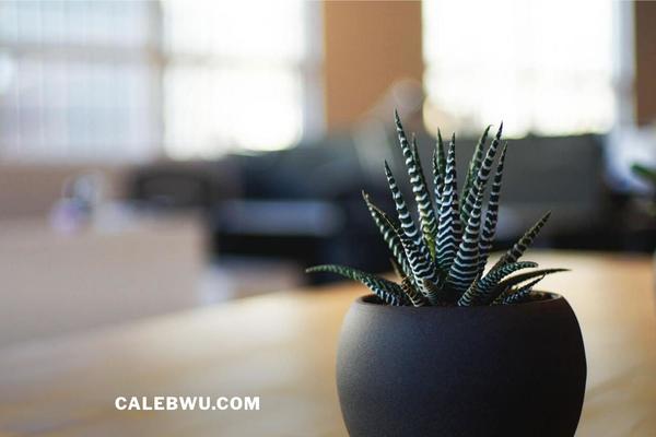 Twenty Seventeen theme site design template sample