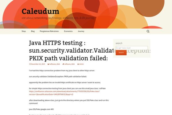 WordPress website example screenshot