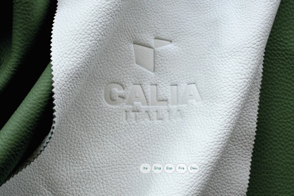 calia WordPress theme, websites list used calia theme calia theme websites examples