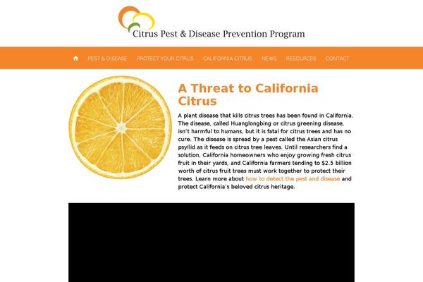 Citrus theme site design template sample