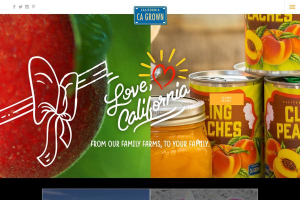 Site using Searchwp plugin