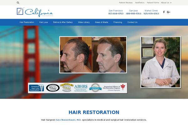 wd40 theme websites examples