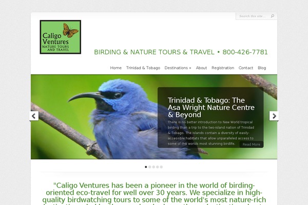 Chameleon theme site design template sample