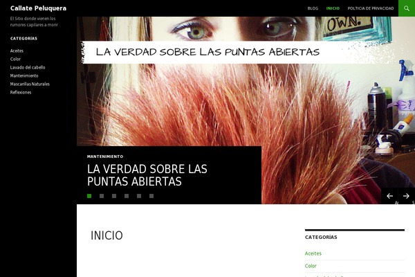 Twenty Thirteen theme site design template sample