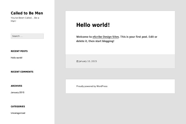 WordPress website example screenshot