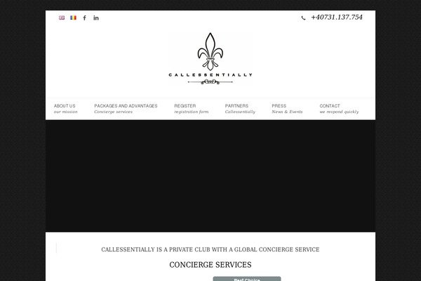 Ce theme site design template sample