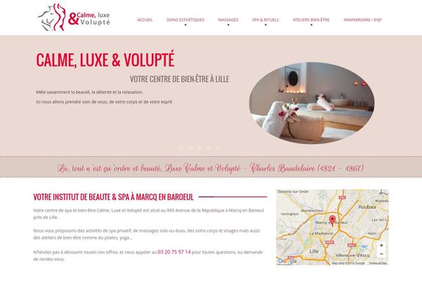 Lotuswp theme site design template sample