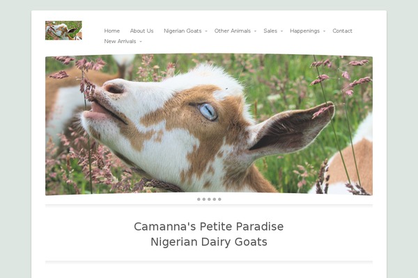 Site using TablePress plugin