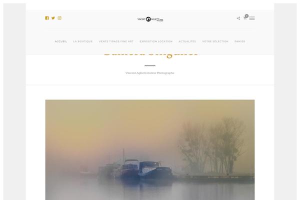 Photography theme site design template sample