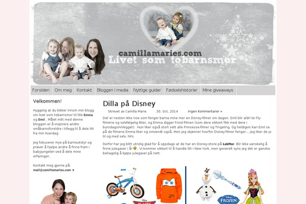 camillamaries.com site used Lpn-beta-0.1