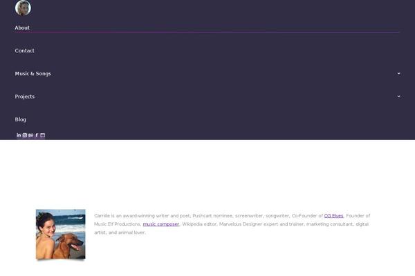 WordPress website example screenshot