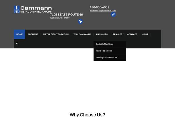 cammann.com site used Induscity