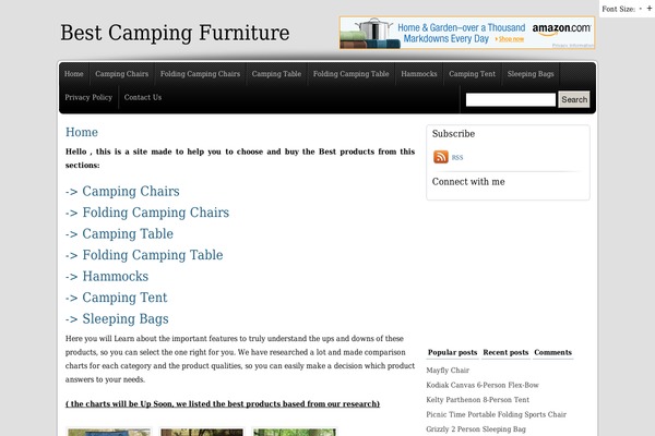 WordPress website example screenshot