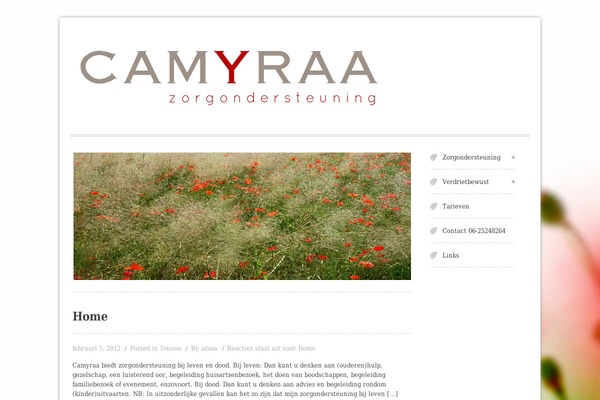 Swiftray theme site design template sample