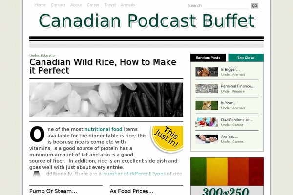 canadianpodcastbuffet.ca site used Luckyguess