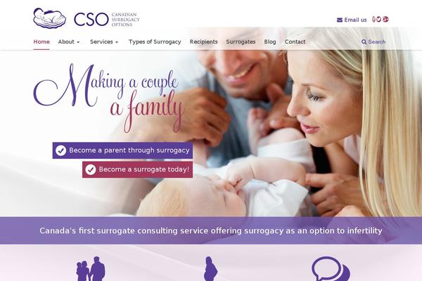 Cso theme site design template sample