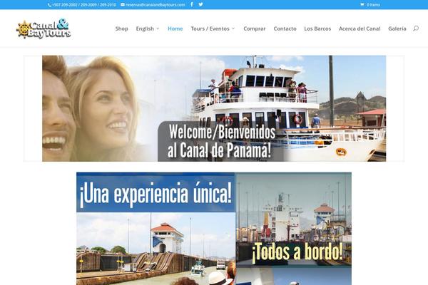 Divi theme site design template sample