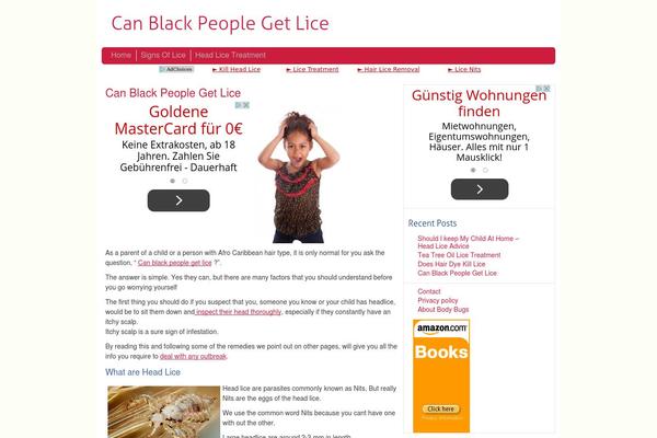 canblackpeoplegetlice.com site used Niche-theme-1