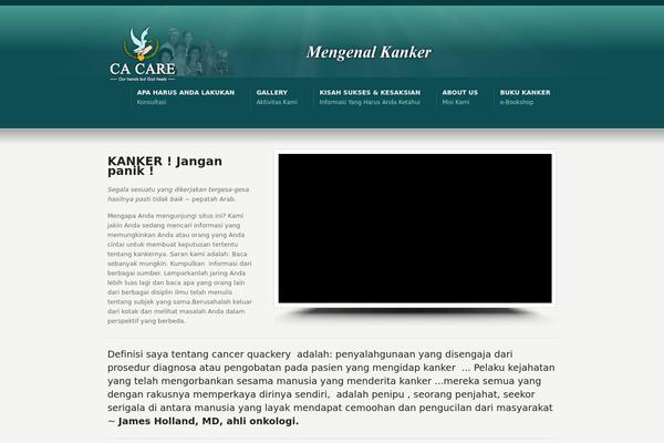 WordPress website example screenshot