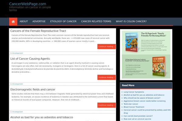 WordPress website example screenshot