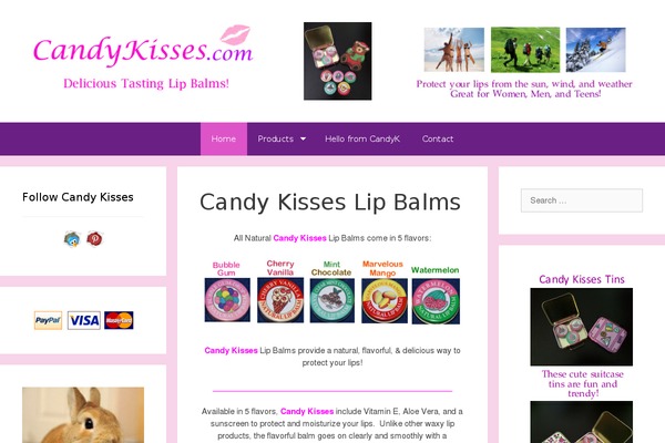 Kippis theme site design template sample