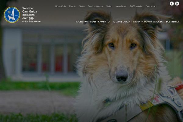 Enfold theme site design template sample