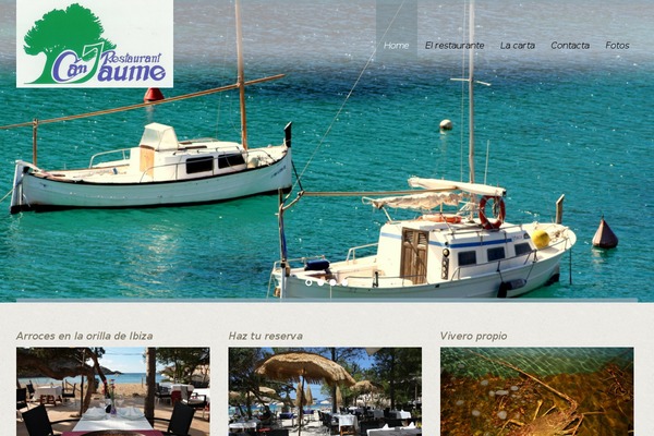 White Rock theme site design template sample