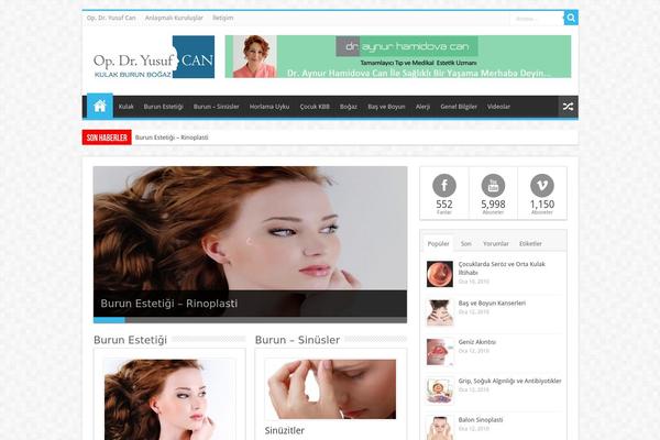 Sahifa theme site design template sample