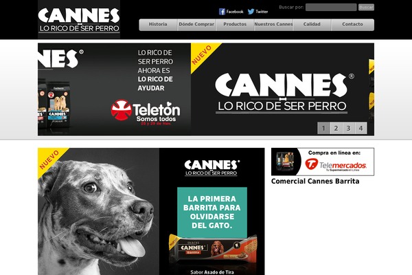 cannes.cl site used Caness-2011