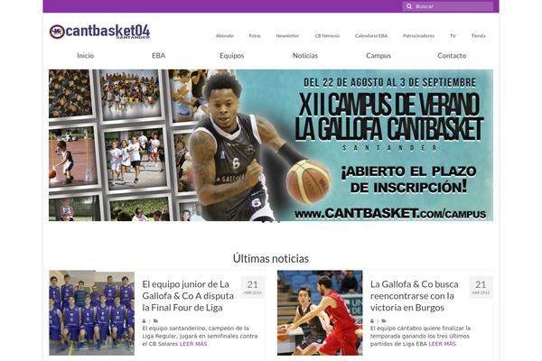 Virtue theme site design template sample